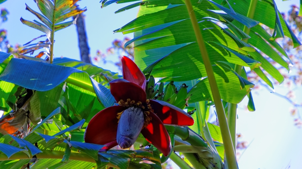 07 - Monterverde (09).jpg